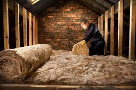 Best Eco-Friendly or Green Insulation Solutions  in Sun Lakes, AZ