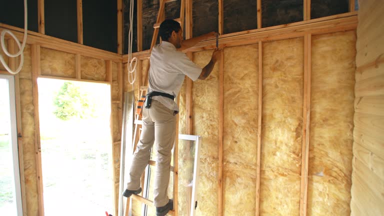 Best Wall Insulation Installation  in Sun Lakes, AZ