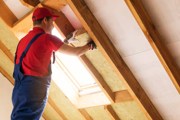 Best Commercial Insulation Services  in Sun Lakes, AZ